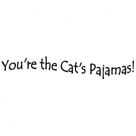 The cheap cat's pjs