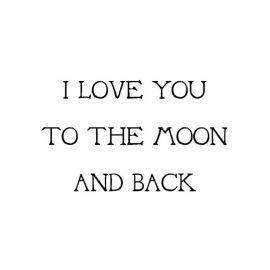 Cling Mount Stamp: Moon and Back RR0728CCL