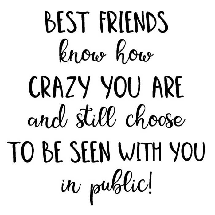 Best Friend Noun Knows How Crazy You Are And Still Chooses To Be